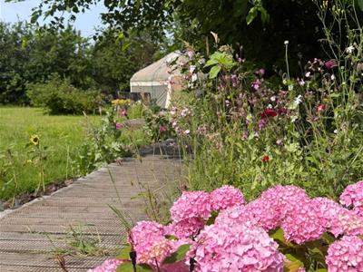 Picture 34